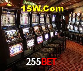 255Bet - User Statistics